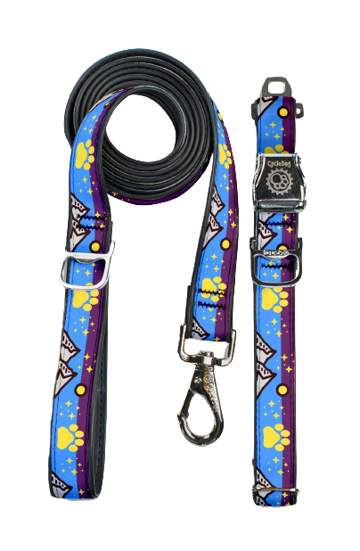 Urban Adventure Bundle — Cycle Dog leash, collar, and travel bowl, made in Portland