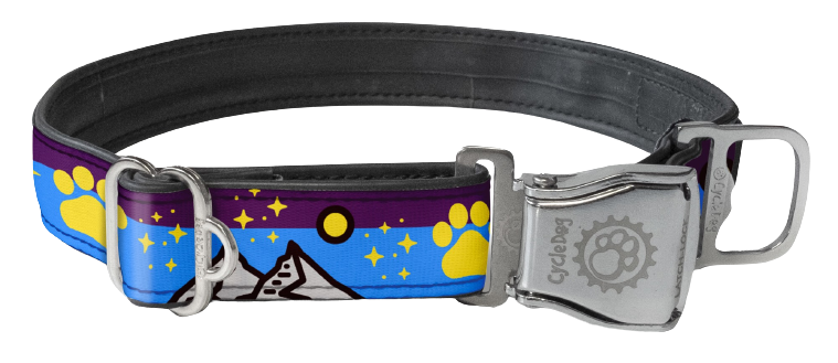 Paw Sunrise Dog Collar