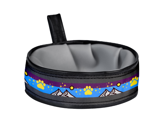 Travel Dog Bowl
