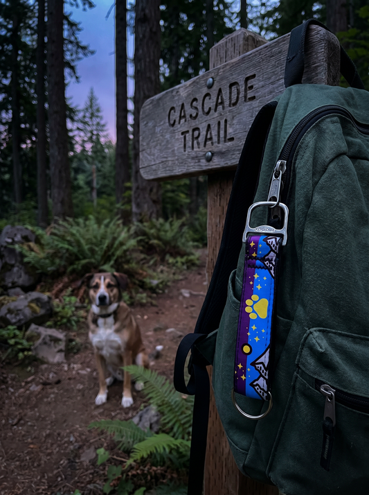 Cascadian Paws Recycled Bottle Opener Keychain — Portland-Made