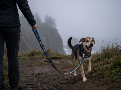 No-Stink Dog Leash — Recycled, Made in Portland