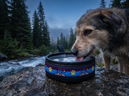 Collapsible Travel Dog Bowl — Portland-Made